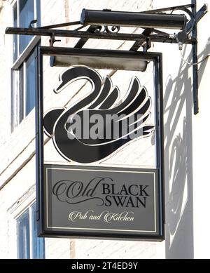 Enseigne traditionnelle de pub suspendue à HE Old Black Swan public House, Market place, Bedale, North Yorkshire, Angleterre, ROYAUME-UNI Banque D'Images