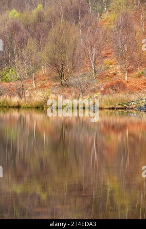 Réflexions capturées un jour de printemps à Llyn Dinas, Gwynedd Snowdonia pays de Galles Royaume-Uni Banque D'Images
