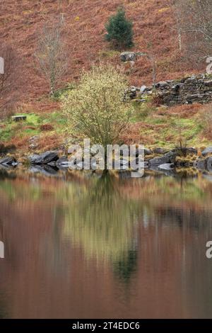 Réflexions capturées un jour de printemps à Llyn Dinas, Gwynedd Snowdonia pays de Galles Royaume-Uni Banque D'Images