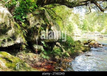 Côte rocheuse de la rivière de montagne Alando pris gros plan à l'ombre des arbres dans le canton de Genève, Suisse. Banque D'Images