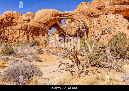 Photo panoramique des merveilles naturelles et géologiques du parc national d'Arches dans l'Utah Banque D'Images