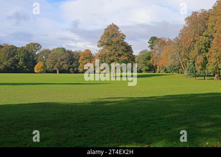 Arbres d'automne à Pontcanna Fields, Cardiff. Prise en octobre 2023. Début de l'automne. Banque D'Images