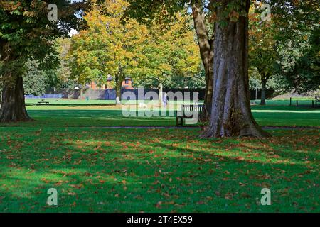 Arbres d'automne à Pontcanna Fields, Cardiff. Prise en octobre 2023. Début de l'automne. Banque D'Images