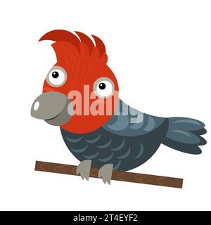 Dessin animé australien animal oiseau cacatoo sur fond blanc illustration pour les enfants Banque D'Images