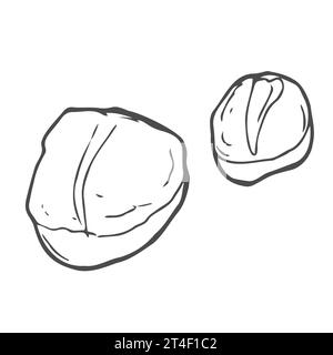 Filet de pétoncle cuit ou cru dans le style de croquis monochrome, illustration vectorielle isolée sur fond blanc. Palourde de fruits de mer rétro dessinée à la main pour restauran Illustration de Vecteur