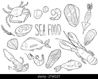 Ensemble de fruits de mer dessinés à la main. Icônes décoratives Squid, Octopus, saumon, huîtres, coquilles Saint-Jacques, homard, perche rouge, crustacés de crabe et moules illustration vectorielle Illustration de Vecteur