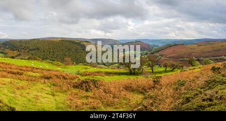 Un panorama multi-images du col Horseshoe courbant autour de la montagne Llantysilio à l'automne. Banque D'Images