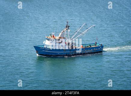 Ensenada, Colombie-Britannique, Mexique – 14 septembre 2023 : bateau de pêche commercial voyageant dans le port d'Ensenada en Basse-Californie, au Mexique. Banque D'Images