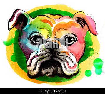 Tête de bulldog colorée. Illustration à l'encre et à l'aquarelle dessinées à la main Banque D'Images