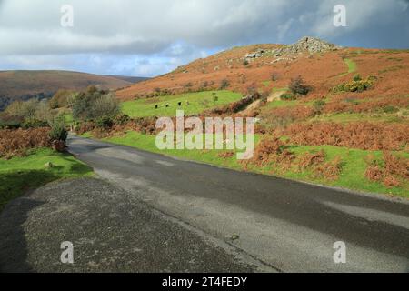 Bell Tor vue d'automne, près de Widecombe, Dartmoor, Devon, Angleterre, ROYAUME-UNI Banque D'Images