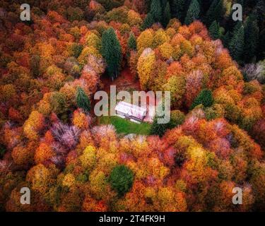 Vue aérienne d'une maison dans une clairière à l'intérieur de la forêt de Cansiglio (vénétie, Italie) au coucher du soleil pendant le feuillage d'automne. Banque D'Images