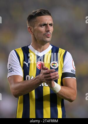 Écharpe Fenerbahçe SK - Foulard Football Turc - Supporter