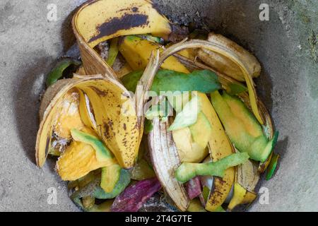 déchets alimentaires ou déchets utilisés comme engrais organique, fruits et légumes restes ou restes pour la fabrication de compost, environnement et concept de jardinage Banque D'Images