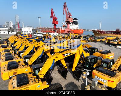 LIANYUNGANG, CHINE - 31 OCTOBRE 2023 - Un grand nombre de véhicules sont prêts à être expédiés au quai de Lianyungang, dans la ville de Lianyungang, province du Jiangsu Banque D'Images