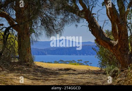 Vue sur l'océan bleu et le ciel et les falaises lointaines à travers les arbres sur la randonnée Bishop and Clerk, parc national de Maria Island, Tasmanie, Australie Banque D'Images