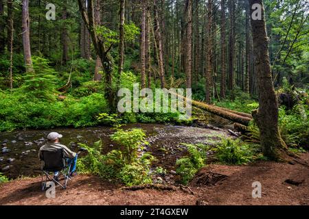 Camper au camping au-dessus de Rock creek, forêt pluviale tempérée, terrain de camping Rock Creek, forêt nationale de Siuslaw, Oregon Coast Range, Oregon, États-Unis Banque D'Images