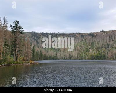 Cerne jezero (Schwarzer See, 'Lac Noir') dans la forêt de Bohême, le plus grand et le plus profond lac naturel de République tchèque, 8 octobre 2023. (CTK P Banque D'Images