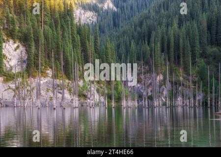 Lac de montagne Kaindy dans la soirée. Kazakhstan Almaty région Tien Shan système de montagnes Banque D'Images