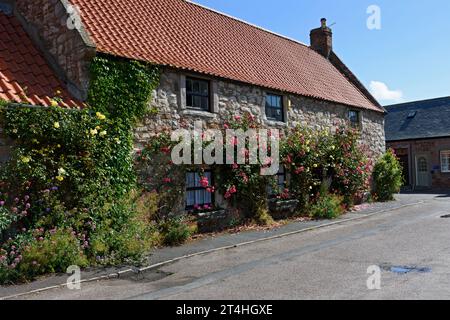 Un chalet dans le village, Holy Island, Northumberland, Angleterre, Royaume-Uni Banque D'Images