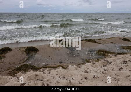 Une journée venteuse sur la plage de la mer Baltique de Thiessow sur l'île de Rügen Banque D'Images