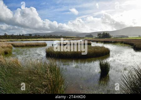 Un étang sur Mynydd Illtyd Common dans le Brecon Beacons National Park Bannau Brycheiniog dans le comté de Powys Banque D'Images