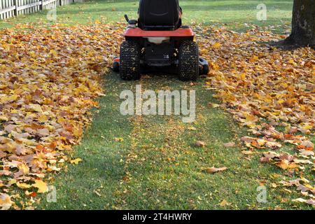 Le tracteur de pelouse débrouille les feuilles dans la pelouse à l'automne pour fournir une méthode écologique de retour des nutriments dans le sol. Banque D'Images