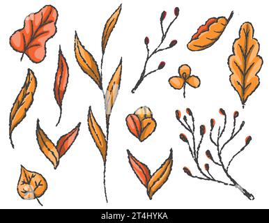 Ensemble de feuilles d'automne vecteur, branches d'arbres, botanique d'automne Illustration de Vecteur