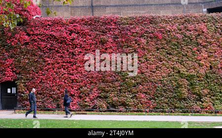 Londres, Royaume-Uni. 31 octobre 2023. UK Météo : couleurs d'automne sur le Old Admiralty Bulding à Westminster. Crédit : Matthew Chattle/Alamy Live News Banque D'Images