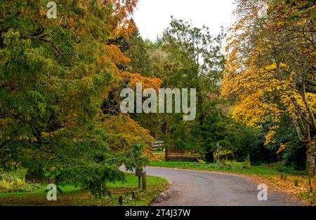 Dundee, Tayside, Écosse, Royaume-Uni. 31 octobre 2023. Météo britannique : belles scènes automnales au Dundee Camperdown Country Park en Écosse. Crédit : Dundee Photographics/Alamy Live News Banque D'Images