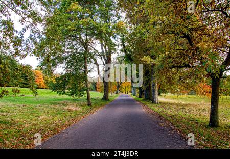 Dundee, Tayside, Écosse, Royaume-Uni. 31 octobre 2023. Météo britannique : belles scènes automnales au Dundee Camperdown Country Park en Écosse. Crédit : Dundee Photographics/Alamy Live News Banque D'Images