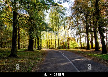 Dundee, Tayside, Écosse, Royaume-Uni. 31 octobre 2023. Météo britannique : belles scènes automnales au Dundee Camperdown Country Park en Écosse. Crédit : Dundee Photographics/Alamy Live News Banque D'Images