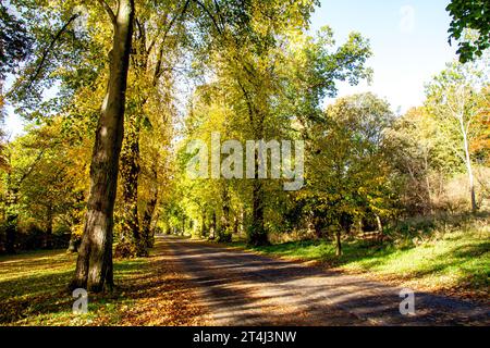 Dundee, Tayside, Écosse, Royaume-Uni. 31 octobre 2023. Météo britannique : belles scènes automnales au Dundee Camperdown Country Park en Écosse. Crédit : Dundee Photographics/Alamy Live News Banque D'Images