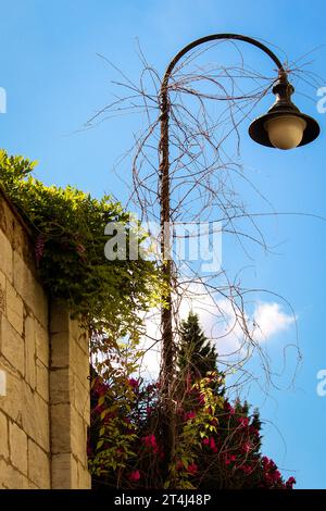 Un plan vertical d'un lampadaire couvert de vignes sèches près d'un mur de pierre Banque D'Images