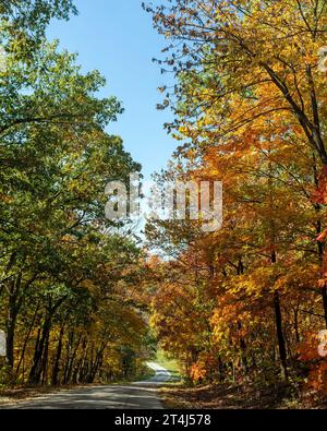 paysage d'automne pittoresque avec feuillage coloré Banque D'Images