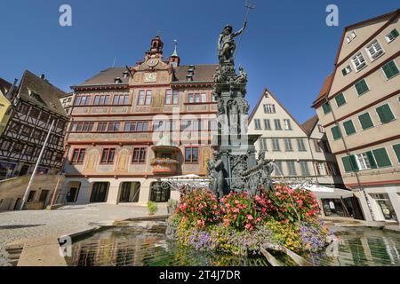 Neptunbrunnen, Altes Rathaus, Am Markt, Tübingen, Bade-Württemberg, Deutschland *** Neptune Fountain, Old Town Hall, Am Markt, Tübingen, Baden Württemberg, Allemagne Banque D'Images