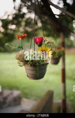 Un pot avec des fleurs || cintre de plantes dans le panier de cintre de fleurs de parc | cintre de boîte de fleurs Banque D'Images