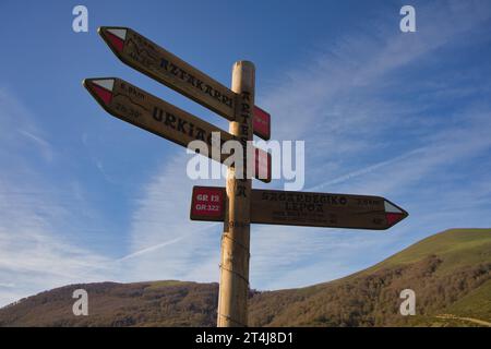 Marqueurs de sentiers et poteaux de randonnée indiquant la direction à suivre sur un sentier de randonnée.Copier l'espace. Banque D'Images