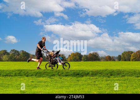 HARROGATE, ROYAUME-UNI - 30 SEPTEMBRE 2023. Vue de profil d'un père courant dans le parc par une journée ensoleillée et poussant ses enfants dans une poussette dans un Parkrun Banque D'Images