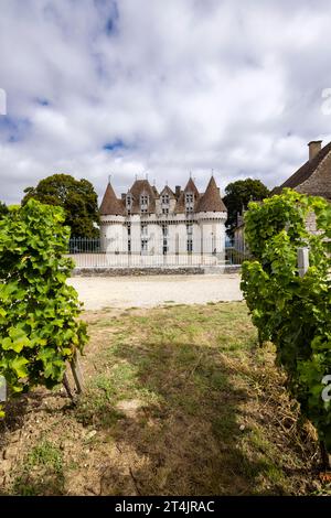 Château de Monbazillac (Chateau de Monbazillac) avec vignoble, département de Dordogne, Aquitaine, France Banque D'Images