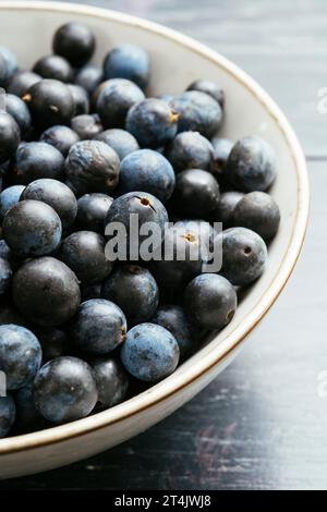 Bol avec des baies de pruneux (prunus spinosa) fraîchement récoltées. Banque D'Images