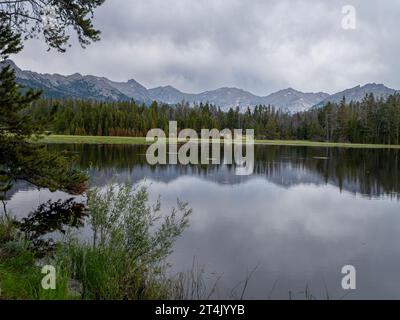 WY05500-00...WYOMING - Mud Lake situé à côté de Big Sandy Lodge dans la forêt nationale de Bridger. Banque D'Images