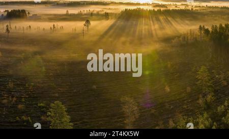 Photo de drone panoramique de lever de soleil très brumeux sur la forêt, paysage dans le nord de la Suède, rayons de lumière dorés et ombres. Beau nord de la Suède Banque D'Images