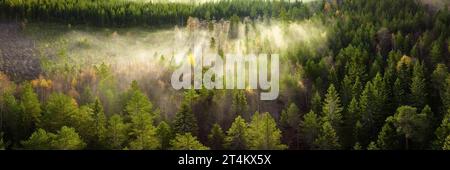 Photo panoramique de drone panoramique de lever de soleil très brumeux sur la forêt verte, paysage dans le nord de la Suède, rayons de lumière dorés et ombres. Belle Suède Banque D'Images