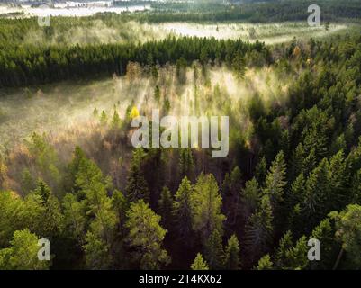 Photo de drone panoramique de lever de soleil très brumeux sur la forêt verte, paysage dans le nord de la Suède, rayons de lumière dorés et ombres. Beau nord de la Suède Banque D'Images