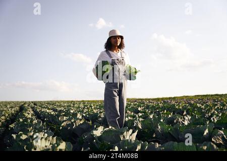 Agronome femelle en uniforme travaillant dans le champ de choux pendant la récolte. Activité agricole Banque D'Images