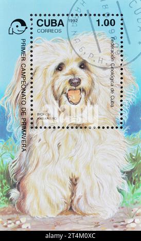 Bloc-feuillet avec timbre oblitéré imprimé par Cuba, qui montre Bichon Havanese (Canis lupus familiaris), vers 1992. Banque D'Images