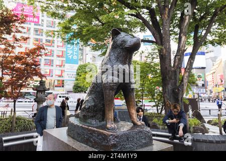 Tokyo, Japon - 11 avril 2023 : statue de bronze Hachiko à la gare de Shibuya, avec des personnes non identifiées. Hachiko était un chien japonais Akita connu pour le sien Banque D'Images