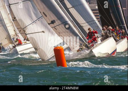 Course de yachts spectaculaire, port de Wellington, Nouvelle-Zélande Banque D'Images