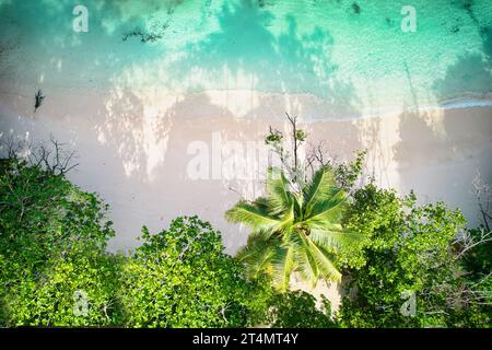 Drone oeil d'oiseau de la plage de baie lazare, pierres de granit, eau turquoise, cocotiers, journée ensoleillée, Mahe Seychelles Banque D'Images