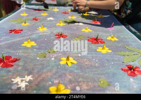 Feuilles et fleurs exposées sur tissu pour la fabrication de paréo sec au soleil, Mahé Seychelles 1 Banque D'Images